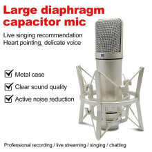 Metal Professional Condenser Microphone Studio Microphone for Computer Gaming Recording Singing Podcast Sound Card