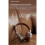 Cuffie Over-Ear Classiche Studio DJ Stereo  5.3 Cuffie Retrò Wireless Touch Control Auricolari di Tipo C 4