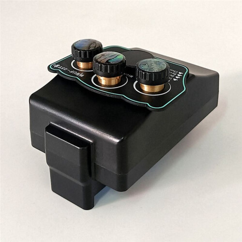 Pickup con Riverbero Migliorato, Suono Nitido, Effetti Delay e Chorus - Ideale per Chitarre, Batterie e Altro 2