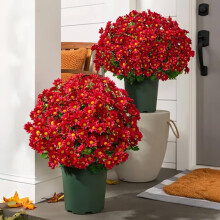 Chrysanthèmes artificiels d'extérieur, couleur coucher de soleil