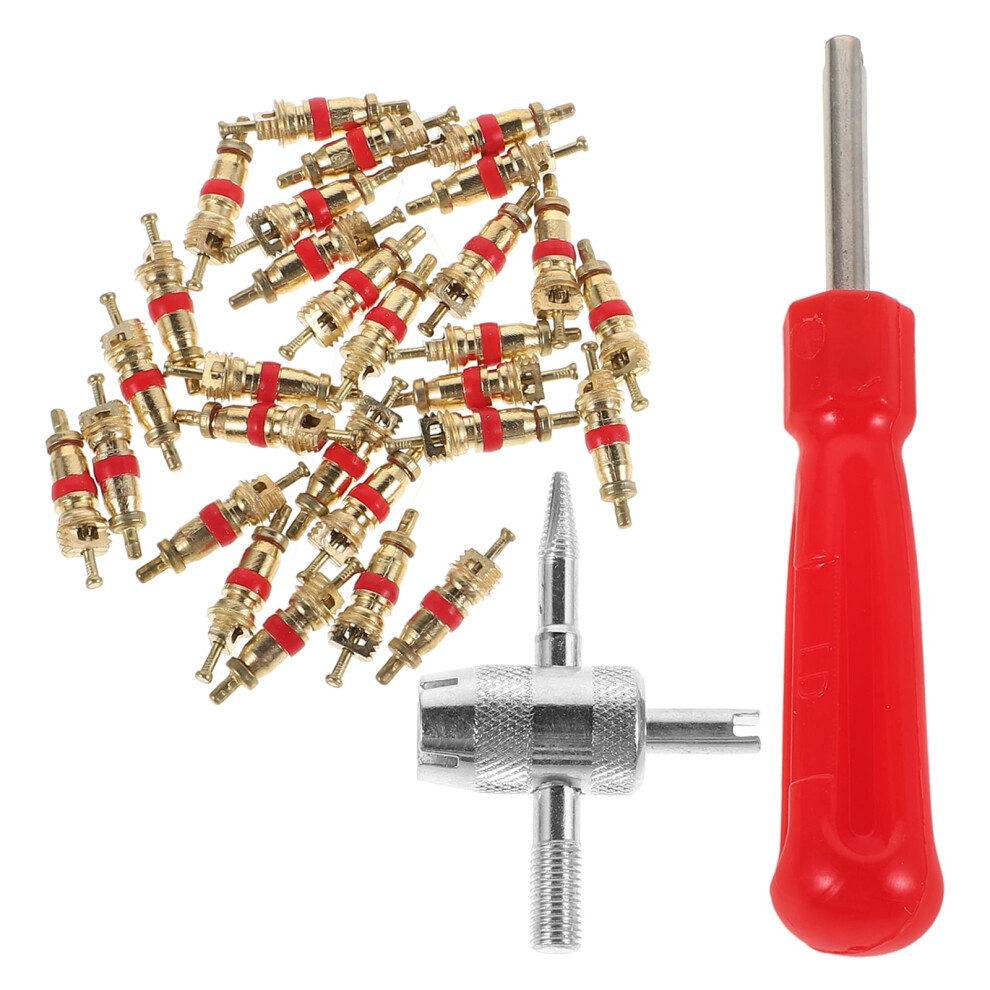 Frcolor 32Pcs Car Tires Valve Stem Cores Nickel Plated Auto Valves Cores Universal Vehicle Tire Repair Valves For Cars Bicycles Trucks Motorcycles 9357860833615