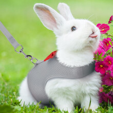 Rabbit Harness & Leash – Escape-Proof, Breathable Mesh Vest with Cute Bow, Compatible with Kittens, Puppies & Small Animals