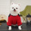 Combinaison rouge en polaire de polyester pour chien et chat 5