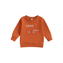 (12-18 Months, Orange) Sudadera informal de Halloween para niños pequeños, manga larga, cuello redondo, con bordado de calabaza y letra.