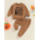 (12-18 Months, Khaki) Φθινοπωρινό σετ ρούχων μακριά μανίκια. 3