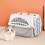 Αεριζόμενη τσάντα ταξιδιού Cat Airline Comfortable1Pack 1