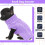 Jersey de punto de cuello alto para perros pequeños 2