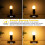 Λαμπτήρας LED JINYUN Dimmable 4W, Ισοδύναμος 40W, Βάση E26, G16.5, 2700K, 480LM, Γυαλιστερός, για 3
