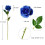 12 rosas pretas de seda com hastes longas 2