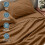 Ensemble de draps Queen – Microfibre hydro-brossée ultra-douce, 3
