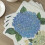 Cork Placemats Set of 4, 12"x16" Rectangular, Hydrangea Floral, Easy Clean, Thick for Kitchen & Dining Tables 7