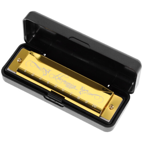 Beginner Harmonica Kids Educational Plaything Portable Mouth Organ Students Gift