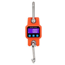 WeiHeng C06 Electronic Crane Scale Hand-Held Hook Scale 300kg/50g Portable Rechargeable Hanging Scale Orange with