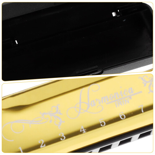 Beginner Harmonica Kids Educational Plaything Portable Mouth Organ Students Gift 1
