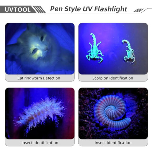 UV Flashlight for UV Glue Curing Light,Rock and Mineral Fluorescent Glowing,AC Leak Detection,Banknote Detection 2