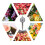 Portable Pointer Fruit Hardness Tester GY-3 Fruit Penetrometer for Pears Grapes Oranges Fruit Sclerometer 2