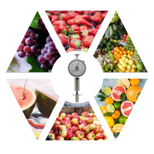 Portable Pointer Fruit Hardness Tester GY-3 Fruit Penetrometer for Pears Grapes Oranges Fruit Sclerometer 1