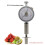 Portable Pointer Fruit Hardness Tester GY-3 Fruit Penetrometer for Pears Grapes Oranges Fruit Sclerometer 3