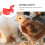 2Pcs Poultry Drinking Bowl Ducks Drinker Water Dispenser for Chicken (Red) 2