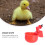 2Pcs Poultry Drinking Bowl Ducks Drinker Water Dispenser for Chicken (Red) 7