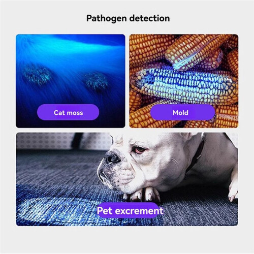 4pcs Cat Moss Detection Flashlight  Light for Banknote Detection UV Flashlight 395nm Ultraviolet Torch