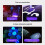 4pcs Cat Moss Detection Flashlight  Light for Banknote Detection UV Flashlight 395nm Ultraviolet Torch 5