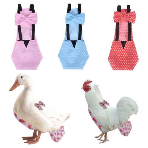 Νέες Αφίξεις Πάνες Κοτόπουλου Bantam Hens - 3 Τεμάχια με Παπιγιόν Πουλερικών, M 1