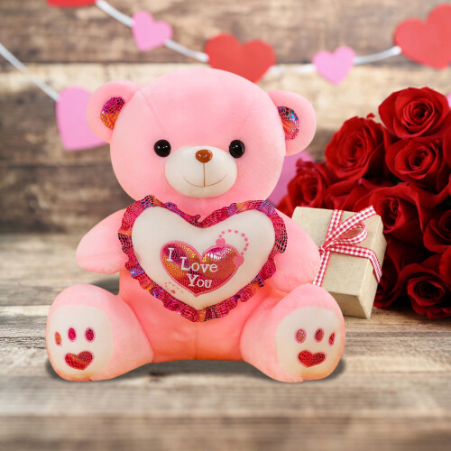 Valentine's Teddy Bear Plush Stuffed Animal 9 inches 2