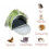 Small Animal Backpack for Hedgehogs and Reptiles with 6