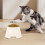 Conjunto de 2 Tigelas para Cães Spaniel de Orelhas Compridas – Tigelas Antiderramamento para Comida e Água, Compatíveis com Cocker Spaniels e 5