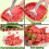 Stainless Steel Watermelon Cutter 1 Piece 7