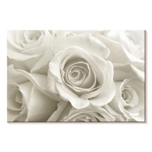 Tableau sur toile Roses blanches pures 30 x 20 cm