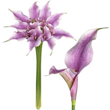 Rózsaszín műkálák – 75 cm, EVA, 9 db