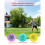 Disc Golf Starter Set (3-Pack: Putter, Mid-Range, Driver), PDGA Certified, Compatible with all disc golf courses 2