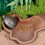 Ruime waterbak Schildpadden rustend Gladde randen-Bruin rood 7