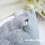 Μαξιλαροθήκες Spring Euro Sham 22x22", Σετ 2 τεμαχίων, μαλακές βελούδινες ψεύτικες μάλλινες, 3