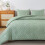 Sage Green Boho Comforter Set Full Size 3-Piece Microfiber 3