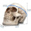 Resin Skull Model for Home Decoration White 2