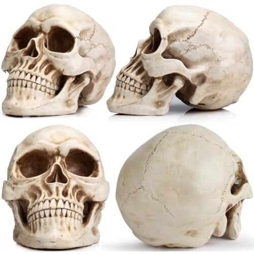Resin Skull Model for Home Decoration White 2