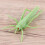Insecte false din plastic pentru joacă educativă pentru copii, 22 buc. 5