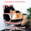 Μαξιλάρι καρέκλας Black Kitty Cute - με πλάτη, αντιολισθητικό και μαλακό για καρέκλα 6