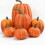 7 pezzi di zucche decorative per l'autunno 6