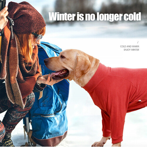 Roupa de inverno para cães - Acessórios impermeáveis e acolchoados para cães de porte médio e grande. 1