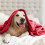 Red Double-Sided Fleece Throw Blanket 60x80 in 5
