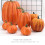 7 pezzi di zucche decorative per l'autunno 5