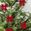 Julepyntsett – Glass, tre, keramikk og filt – 4