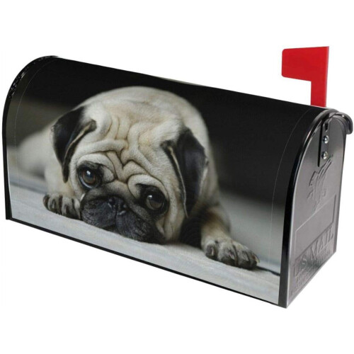 Κάλυμμα γραμματοκιβωτίου για σκύλους Pug, αδιάβροχο μαγνητικό κάλυμμα 1
