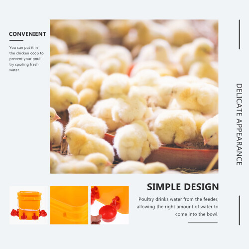 FRCOLOR Abbeveratoio automatico per pollai, distributore di mangime per pollame 2