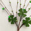 Four Leaf Clover Decoration for St. Patrick's Day 1pc 5