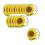 Sunflower Paper Plates 9in Square 16-Pack 2